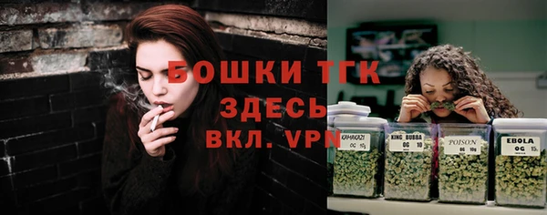 прущие грибы Корсаков