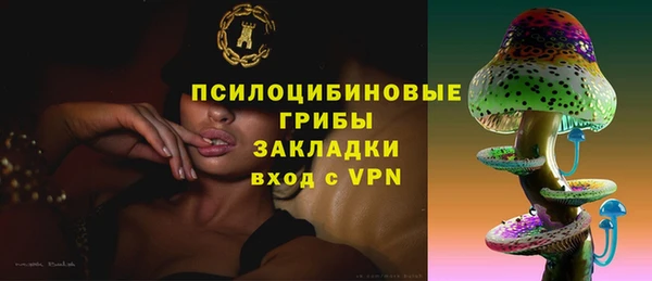 амф Белоозёрский