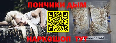 jwh Кингисепп