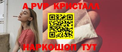 jwh Кингисепп