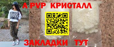 jwh Кингисепп