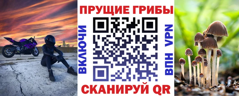 Галлюциногенные грибы GOLDEN TEACHER  даркнет телеграм  Корсаков 
