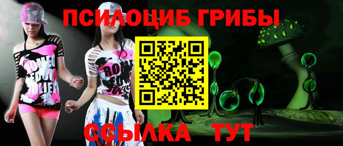 Галлюциногенные грибы прущие грибы  Вход с VPN  Корсаков 